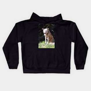 Gray Wolf poised and ready Kids Hoodie